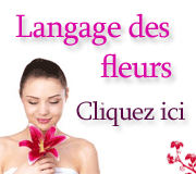 D�couvrez le meilleur guide du langage des fleurs