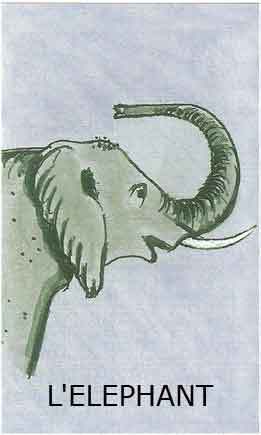Oracle de L'éléphant dans ELEPHANT elephant