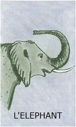 l'elephant