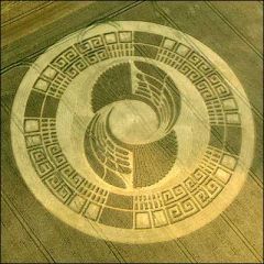 enquete sur les crop circle