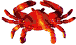 Gif anim cancer