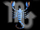 Gif anim scorpion