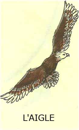 l'aigle