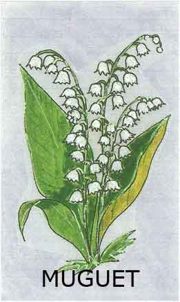 le brin de muguet