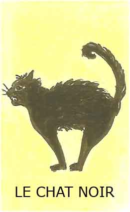 le chat noir