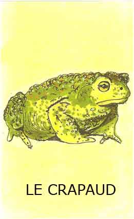 le crapaud